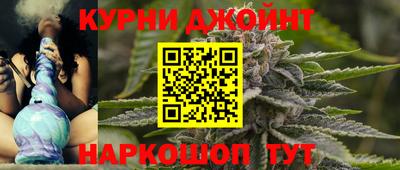 крисы Аргун