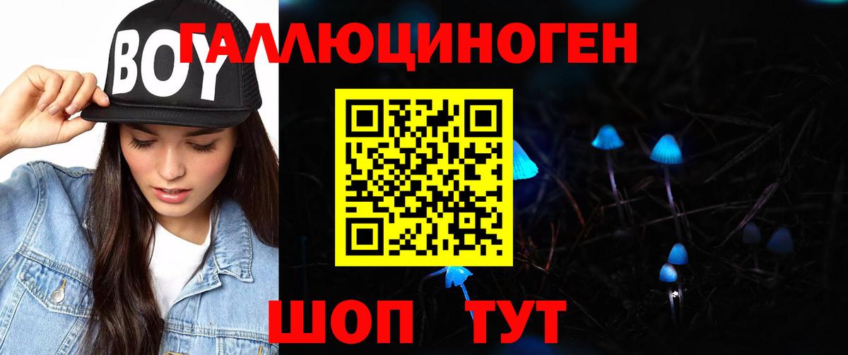 Псилоцибиновые грибы Magic Shrooms  Богородск 